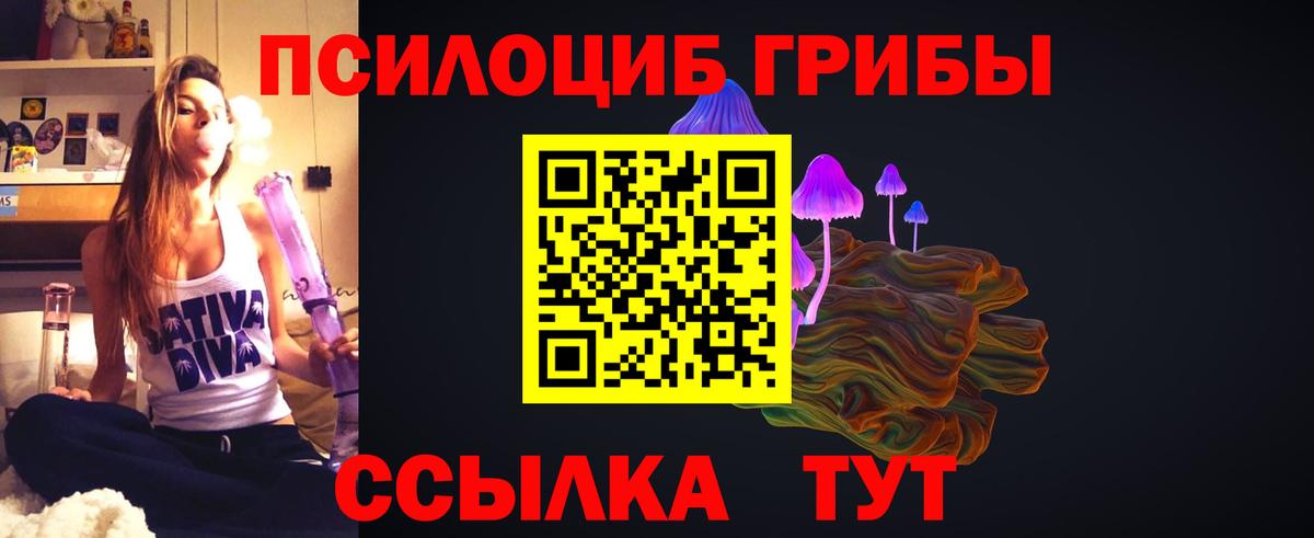 Невинномысск  Псилоцибиновые грибы прущие грибы  Псилоцибиновые грибы прущие грибы  Вход с VPN 